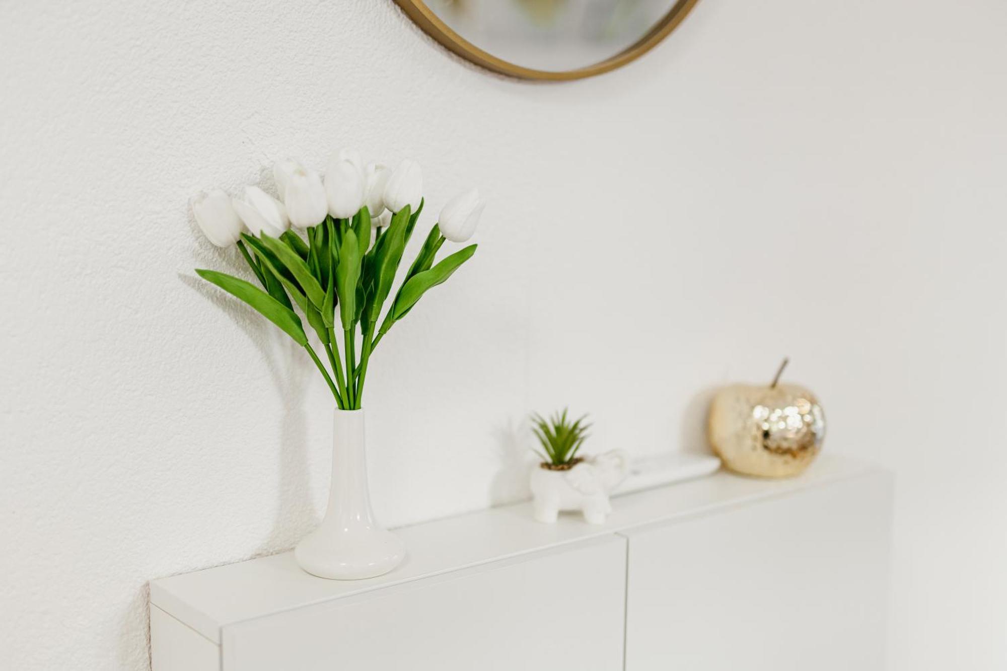 Apartmán Andrea Lux Kotor Exteriér fotografie